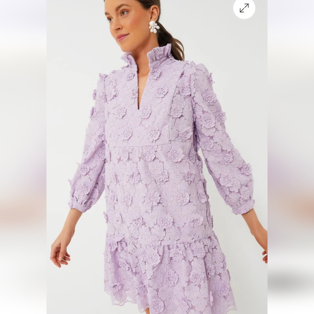 Tuckernuck Lilac Lace Palmerton Floral Mini Dress Numerous Sizes - Picture 2 of 11